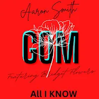 Aaron Smith — All I Know (Radio Mix) (Feat. Bridget Flowers) — обложка